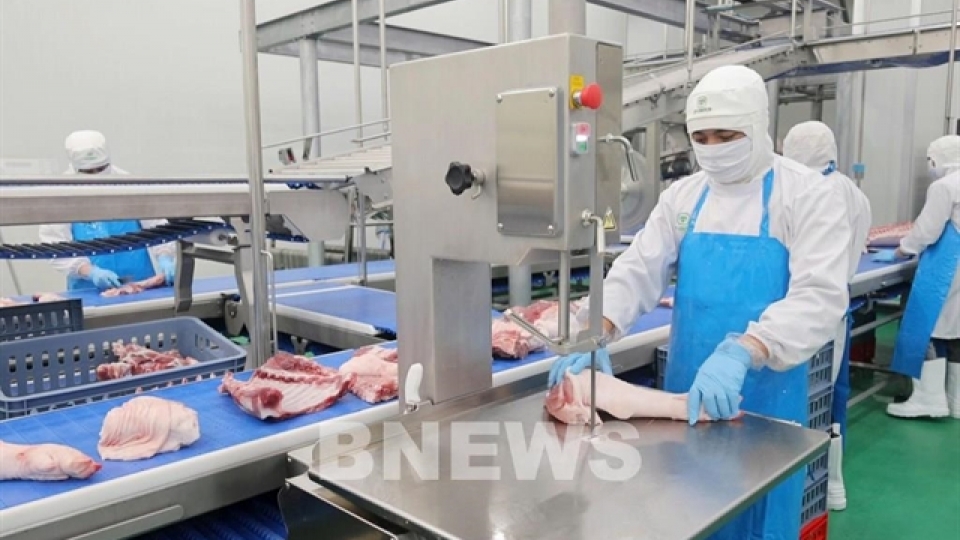 CP Vietnam did not violate food safety regulations: report